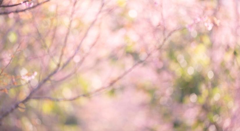 Szombatig még tavaszias idő, vasárnap már hidegfront – Így alakul a hétvégi időjárás