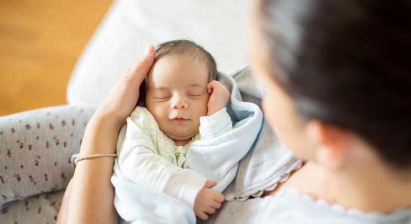 13 újszülött jött világra, köztük egy ikerpár is