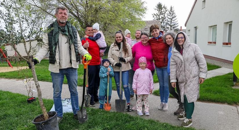 Mediterrán növények is gyökeret vertek a tápi közösségi akcióban
