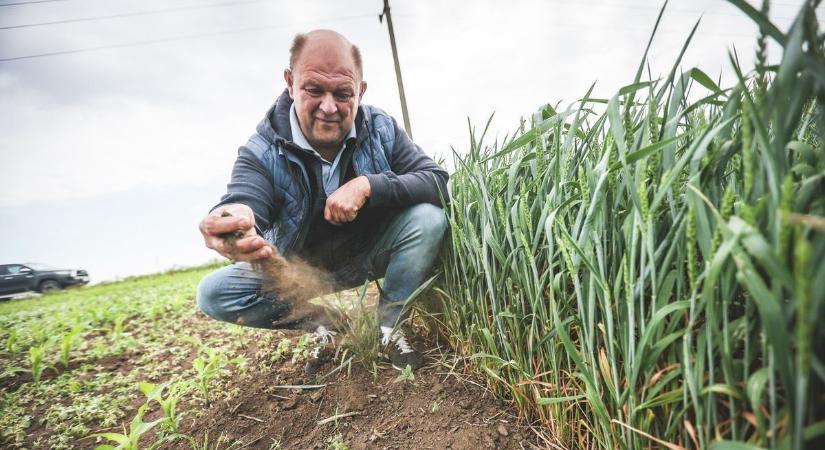 Sok volt a hó és az eső? Mégis égi áldásban reménykednek a somogyi gazdák – nagyobb a szárazság, mint gondolnánk