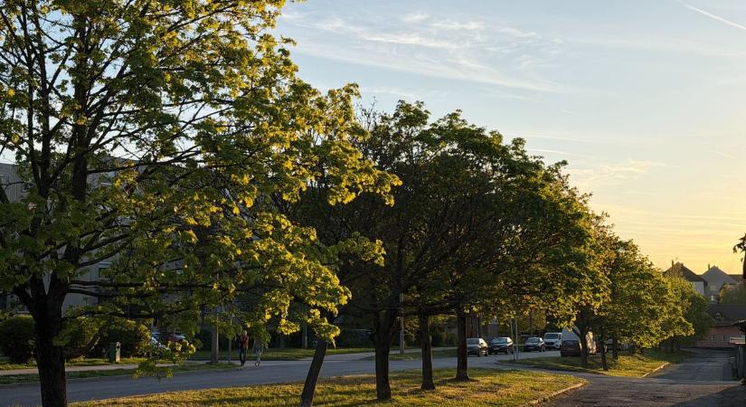 Széllel érkezik a napsütés pénteken Komárom-Esztergomban – ezt várhatjuk