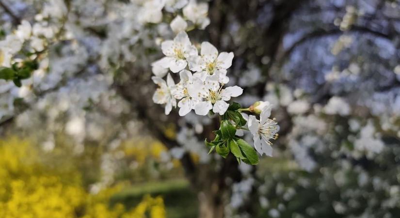 Borongós kezdet után kellemes folytatás, de a szél még velünk marad - ilyen lesz a holnapi időjárás Hevesben