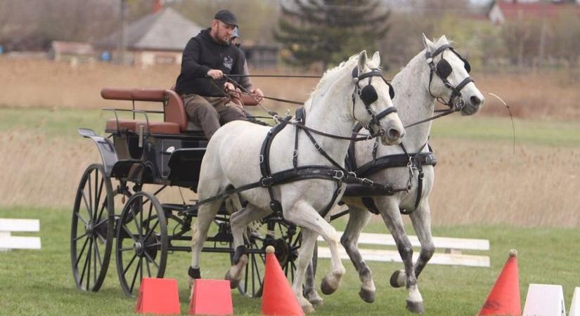 Elképesztő nevezőszám, rajtol a 2026-os fogathajtó szezon  videó