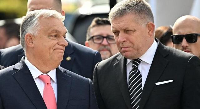 GYÁSZFELDOLGOZÁS – Tükör által homályosan