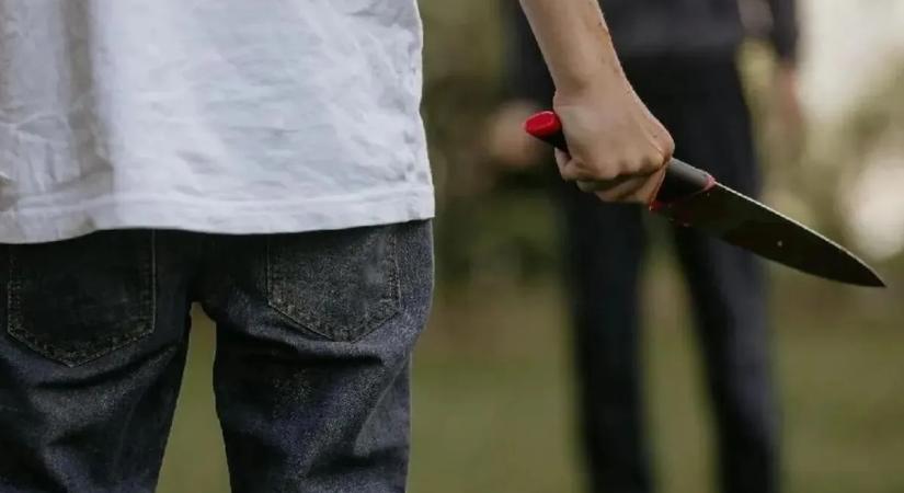 Saját testvérét szúrta mellkason egy részeg férfi Fácánkerten