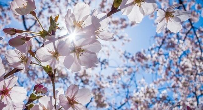 Kiderül, megérkezik-e az igazi tavasz - Időjárás-előrejelzés Szent György napjára