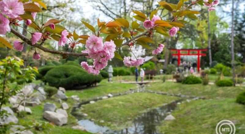 Nem tart sokáig a meleg, tavaszias idő