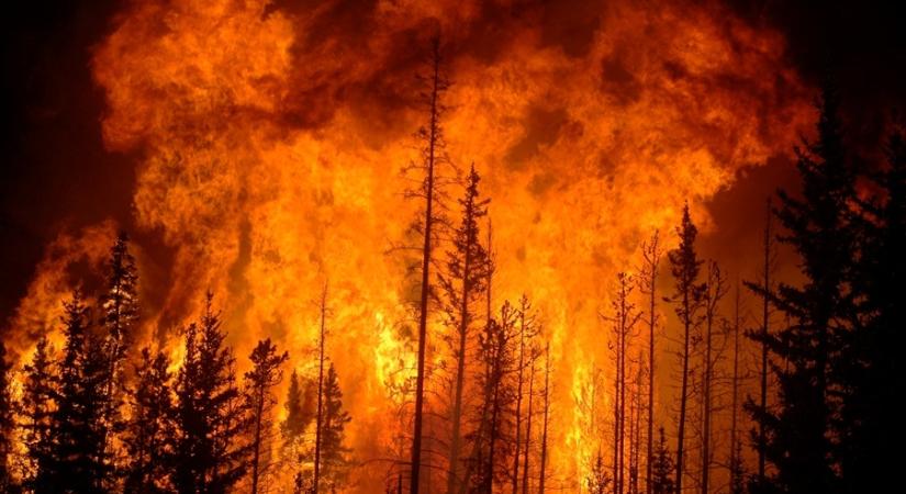 Durva erdő- és bozóttüzek pusztítanak az egyesült államokbeli Georgia államban