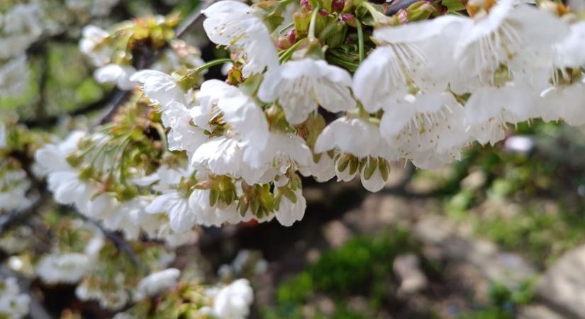 Kettős arcát mutatja az időjárás: napsütés és záporok váltják egymást Zalában