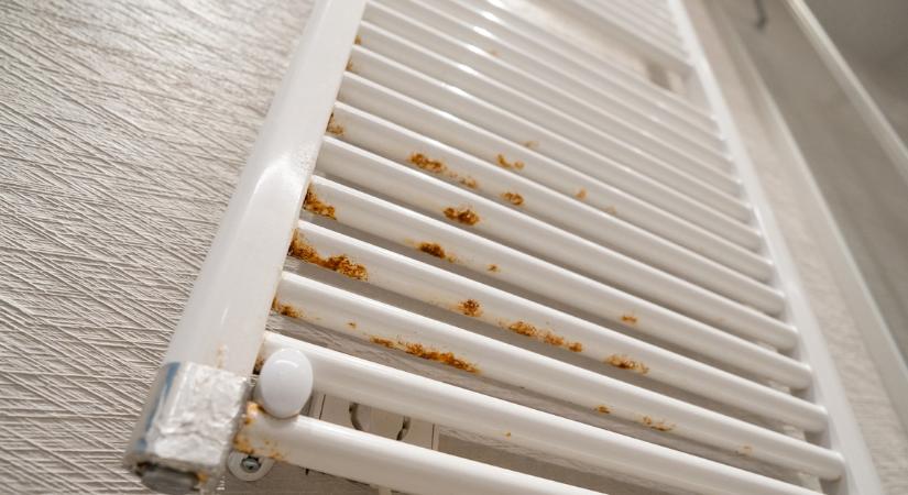 Káros és csúfítja a fürdőszobát – itt van mit kell tenned ellene