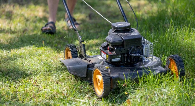 Fűnyírás közben találtak 14 milliónyi értékű aranyrudat, egy egész kisvárost tart lázban a kincs sorsa