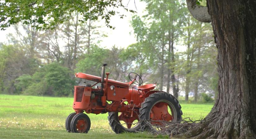 3 napos időjárás-előrejelzés: indul a tavaszi hullámvasút