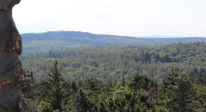 Győr-Moson-Sopron vármegye kihagyhatatlan úti céljai tavaszi kiránduláshoz