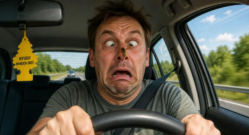 Egy apró rovar, ami balesetet okozhat – Ezt kell tennie azonnal