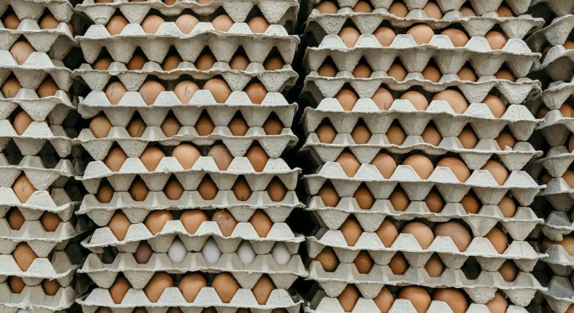 Záptojásszagra panaszkodnak Somogyban, a feldolgozóüzem szerint minden rendben van