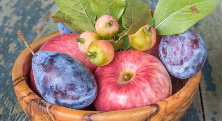 Felismered az áfonya és a szilva népies nevét? Ezeket a gyümölcsöket ették dédanyáink