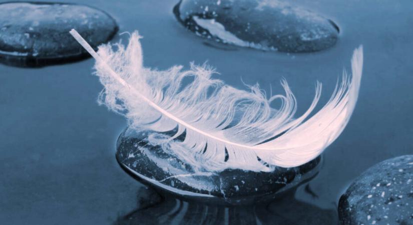 A búcsú kódja – VI.