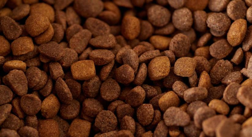 Gabona helyett állateledel: szerkezeti átalakulásban a magyar agrárexport