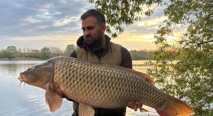 Egymás után fogták ki az óriáspontyokat a Desedán