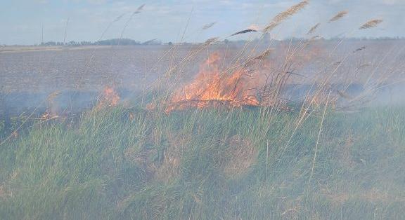 Nádas égett Kabán és Hajdúszováton is