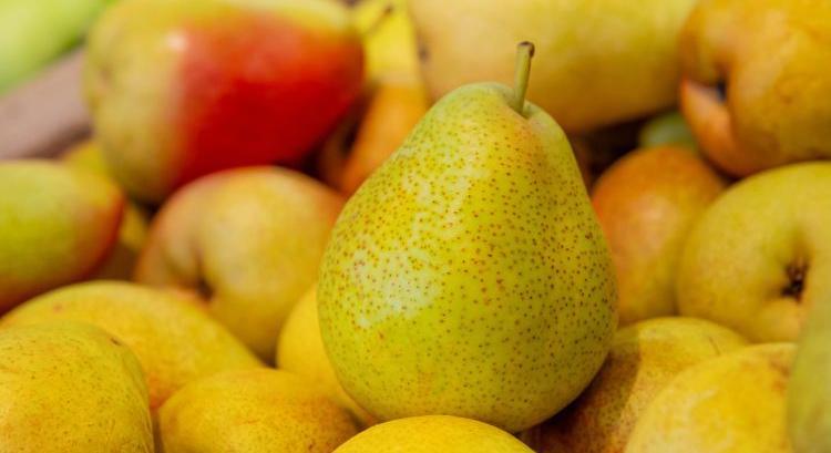 Európában még sok a körte, itthon már a termés a kérdés