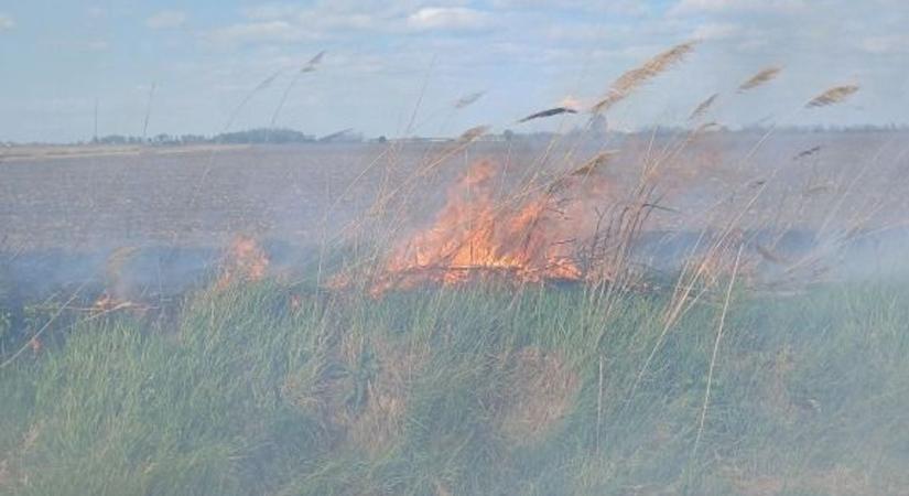 Helyszíni fotókkal! Több száz méteren égett a nádas Hajdú-Biharban, sietni kellett a tűzoltóknak!