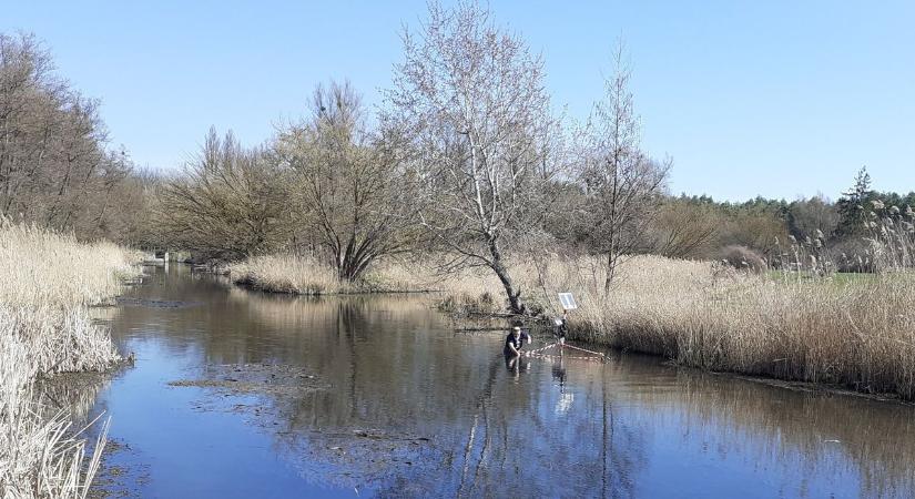 Kiszámíthatatlan fenyegetés: ez az óriás veszélyt jelent Hévízi-kifolyón, s egyre közeledik a Balaton felé