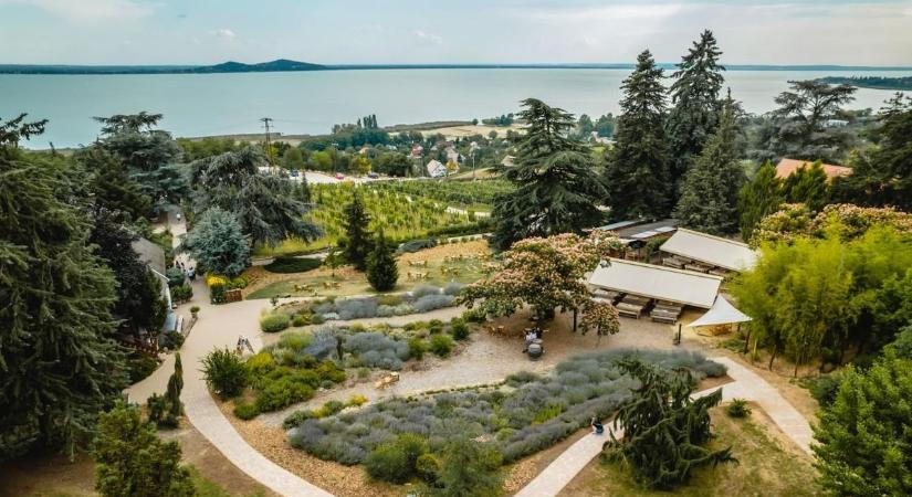 Elvarázsolt kertek a Balaton körül: történelmi parkok és arborétumok nyomába ered a kvíz