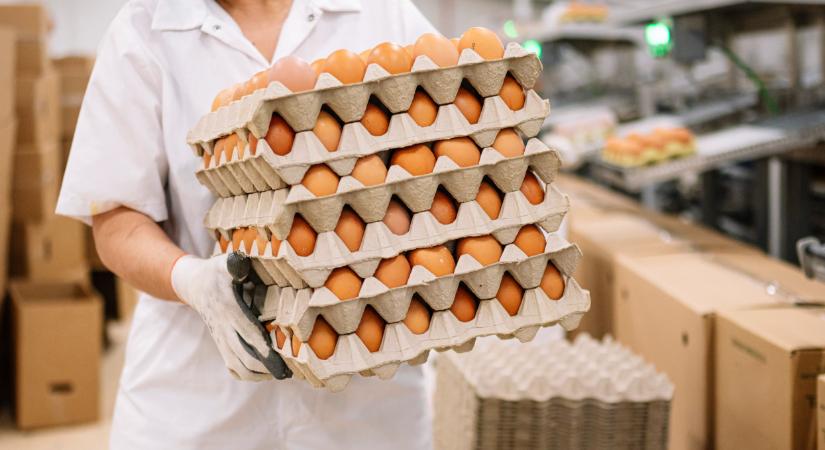 Elviselhetetlen bűz kering a magyar településen: fellázadtak a lakosok