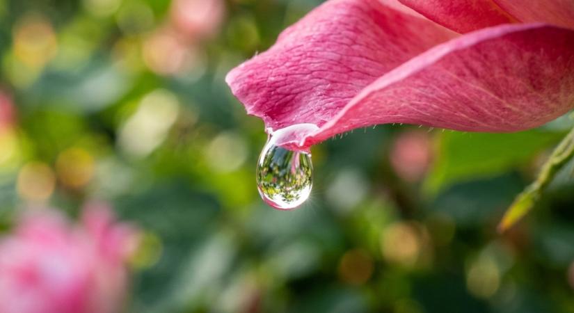 Új szakmai partnerség a kontinenciaellátás megújításáért