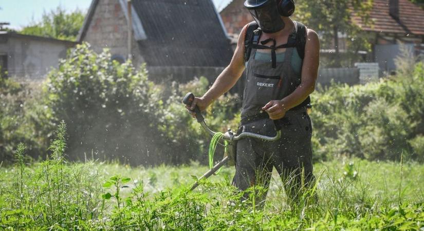 Nem mindegy, mikor indítod el a fűnyírót a Balatonnál – komoly bírságot kaphatsz, ha nem figyelsz!