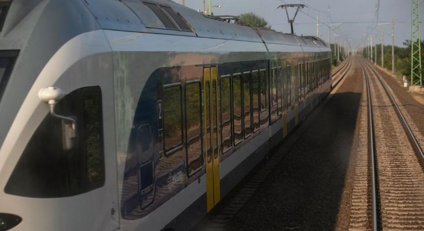 Vadállatot gázolt el a debreceni vonat, tovább sem tud menni az ütközés miatt!