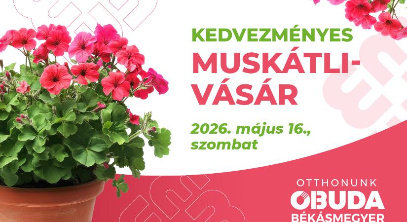 Idén is gyönyörű muskátlikkal várjuk Önöket kedvezményes vásárunkon!