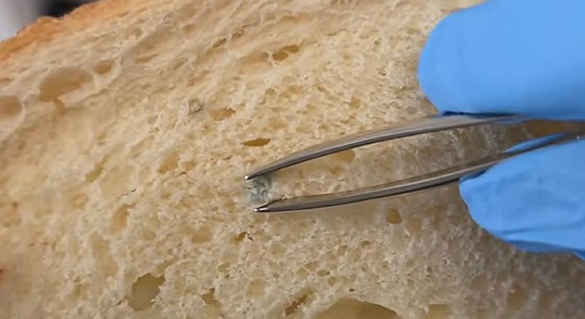 Ehető a kenyér, miután lecsíptük a penészes részét? Most kiderül!