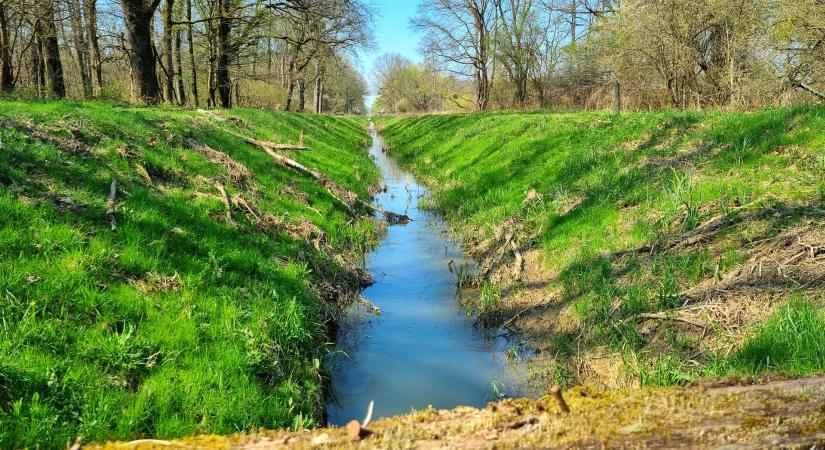 A természetvédők szerint ezek a környezetvédelmi minisztérium előtt álló legfontosabb feladatok