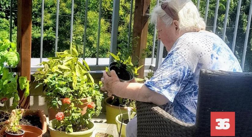 Szakmai mulasztás miatt vizsgálják a Szent Imre Kórházat, ahol későn ismerték fel egy idős nő halálos infarktusát