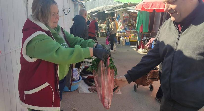 Indul a palántaszezon - Kockázat nélkül nem megy