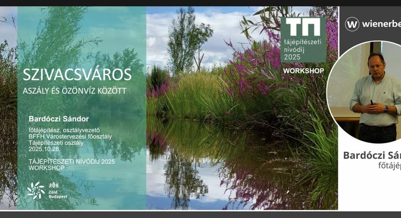 Szivacsváros – Újdonság az online képzések között