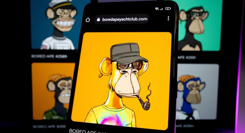 Ötéves lett a majmos NFT, amelyért egykor sztárok álltak sorba, ma viszont már a kutyát sem érdekli