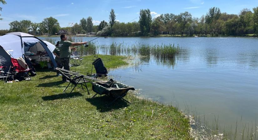 Elstartolt a négynapos non-stop országos pontyfogó horgászverseny Szeliden – fotók
