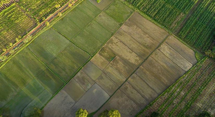 Tiltott kaszálás és korai feltörés – A műhold mindent lát, jönnek a büntetések