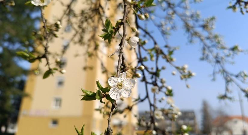 Gyorsan melegszik az idő Zalában – tavaszias arcát mutatja az időjárás