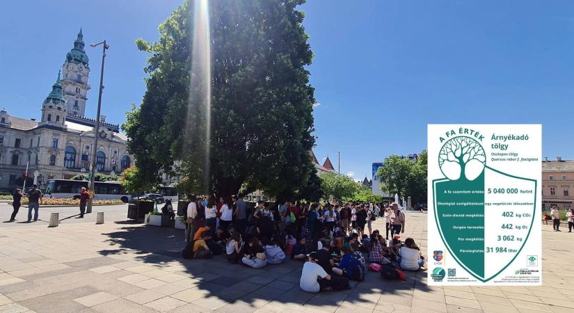 Föld napi faértéktábla-avatás