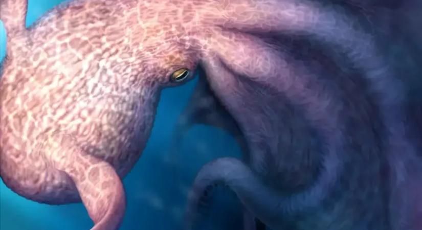 Százmillió éve gigantikus polipok voltak az óceánok csúcsragadozói