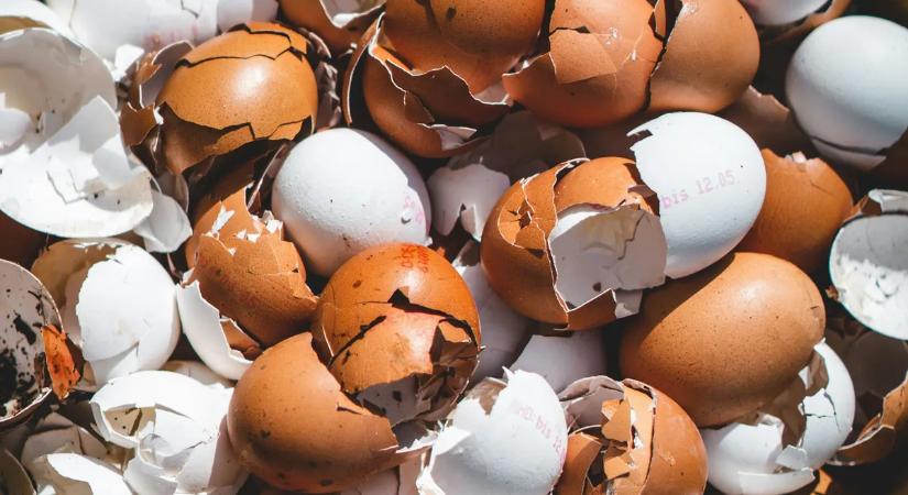 Évek óta tart a küzdelem vidéken– bűz és fertőzésveszély is fenyegetheti a helyieket