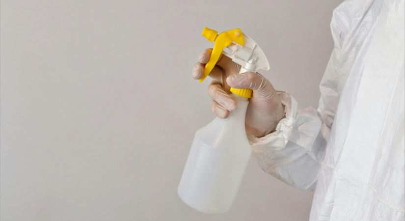 Sokszor láthatatlan az „ellenfél” – mutatjuk, miért életveszélyes a penész a lakásban