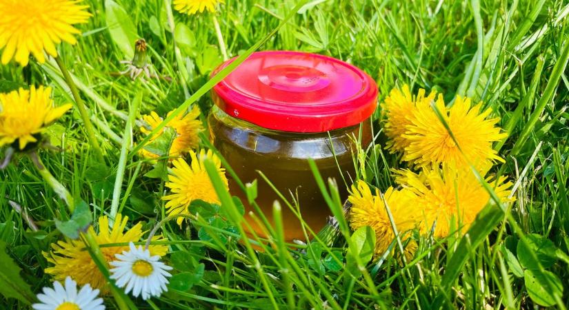 Ebből a "gyomból" aranyat főzhetsz otthon, és ezt csak kevesen tudják! (recepttel)