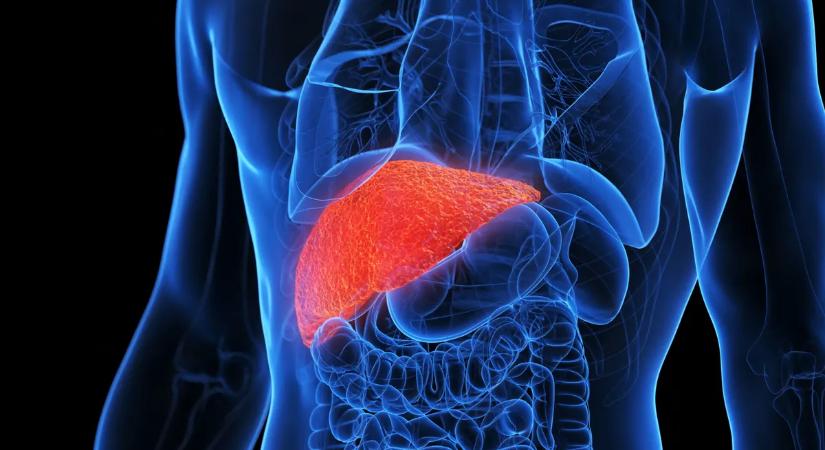 Beteg a mája? Ez a hétköznapi gyümölcs segíthet