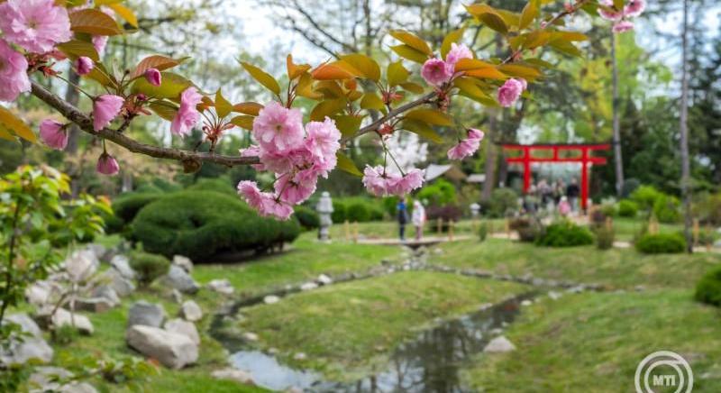 Hidegfront hoz lehűlést Hajdú-Biharba