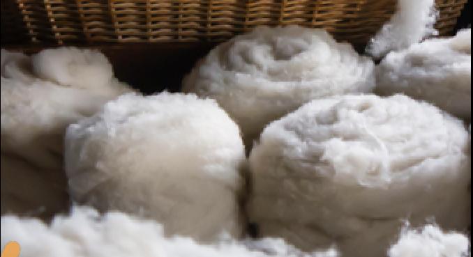 Elérhető a gyapjú körforgásos hasznosításáról szóló uniós kiadvány